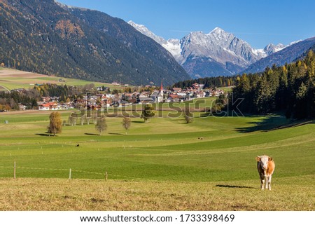 
Pastures in the green Val Pusteria Royalty-Free Stock Photo #1733398469
