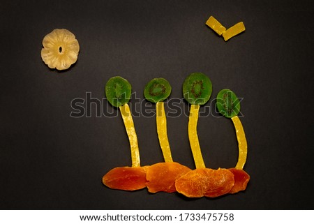 dried fruits on a black background. the picture consists of pieces of fruit. grass, trees, sun, bird