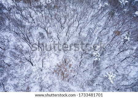 Snow scene of Beishan Park, Jilin, China