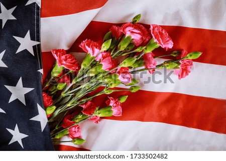 American Celebration Memorial day, carnation flowers on american flag background