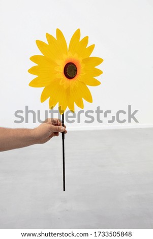Hand Holding Sunflower Toy at Studio