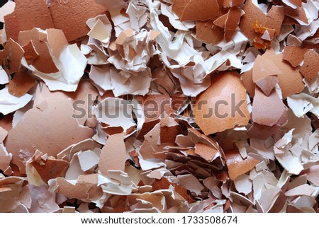 Photography of broken egg shells for food background