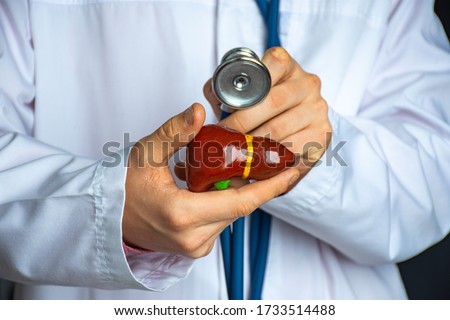 
Medical professional, doctor, gastroenterologist or hepatologist holds anatomical model of human liver in his hand and directs by stethoscope in his other hand to diagnose health and diseases Royalty-Free Stock Photo #1733514488