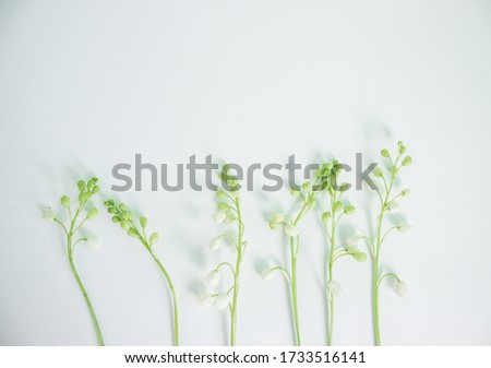 Thin stalk with many flowers bells. White lilies of the valley. Convallaria. Background picture. Green leaves. Forest flower. Decorations for the garden. Flora. Conceptual idea.