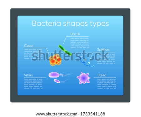 Bacteria shapes types realistic color vector informational infographic template. Microbes poster, booklet, PPT page concept design with 3d illustrations. Advertising flyer, leaflet, info banner idea