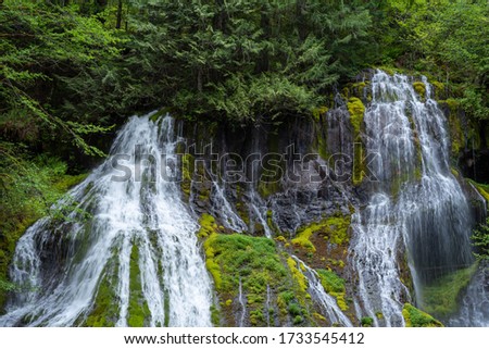 Landscape of waterfall and greenery at Panther Creek Falls in Washington