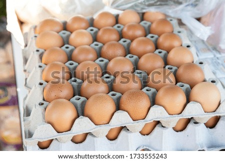 Pattern eggs in the panel