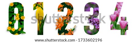 Floral number. The number 0, 1, 2, 3, 4 are made from colorful flower photos. A collection of wonderful flora letters. flower on a white isolated background with clipping path