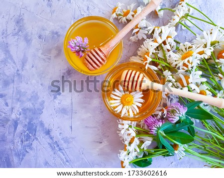 fresh honey daisy flower on concrete background