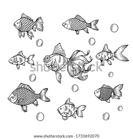 Set of hand drawn vector outlined fishes and bubbles on white isolated background