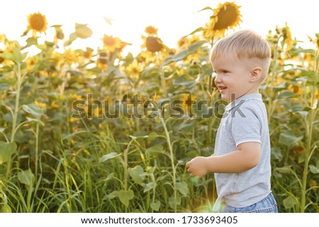Little boy playing on the background of countryside and smiling. Three years kid having fun in field of sunflowers on sunset. Summer outdoors lifestyle, child leisure, childhood