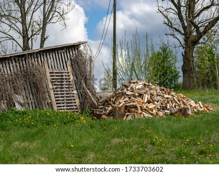 spring picture with a simple wooden shed in the yard