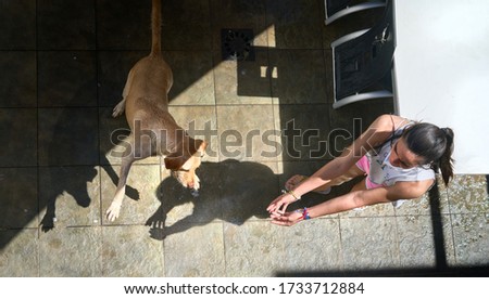 brunette girl plays with her pet, a labrador dog, freshly washed, while the pet plays with water, top view