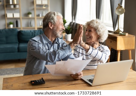 Overjoyed exited middle aged married couple giving high five, finishing doing domestic paperwork together at home. Euphoric happy older mature spouses celebrating successful investment or purchase. Royalty-Free Stock Photo #1733728691