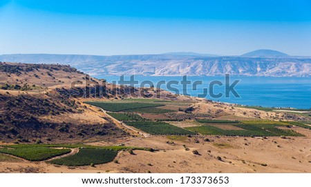 View from Galilee Mountains to Galilee Sea, Kinneret, Israel. Golan Heights. Wonderful landscape with blue fog on the background and bright colors. Gradient from green to blue. Vineyard on foreground. Royalty-Free Stock Photo #173373653