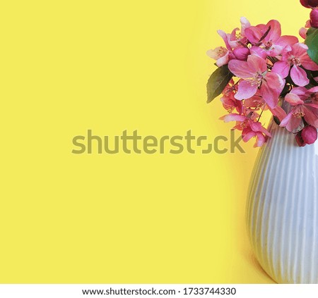 vase with magnolia flowers on a colored background