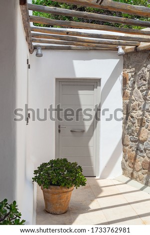 Gray wooden door and clay pot with garden flower
