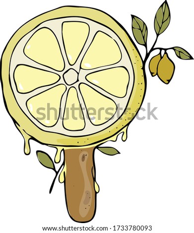 intresting illustration of a juicy lemon on a stick.vector illustration.
