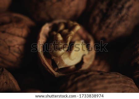 pictures of nuts with a macri lens

 Royalty-Free Stock Photo #1733838974