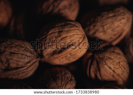 pictures of nuts with a macri lens

 Royalty-Free Stock Photo #1733838980