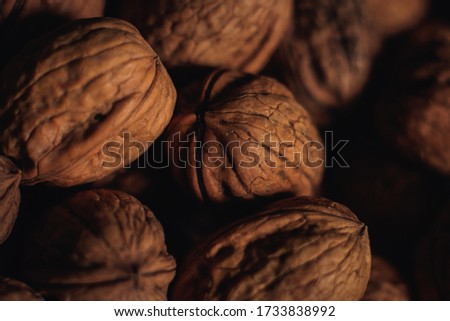pictures of nuts with a macri lens

 Royalty-Free Stock Photo #1733838992