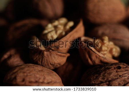 pictures of nuts with a macri lens

 Royalty-Free Stock Photo #1733839010