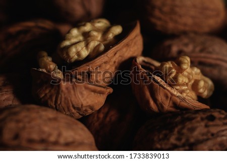 pictures of nuts with a macri lens

 Royalty-Free Stock Photo #1733839013