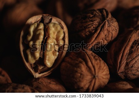 pictures of nuts with a macri lens

 Royalty-Free Stock Photo #1733839043