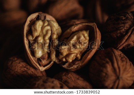 pictures of nuts with a macri lens

 Royalty-Free Stock Photo #1733839052
