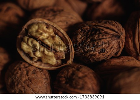 pictures of nuts with a macri lens

 Royalty-Free Stock Photo #1733839091