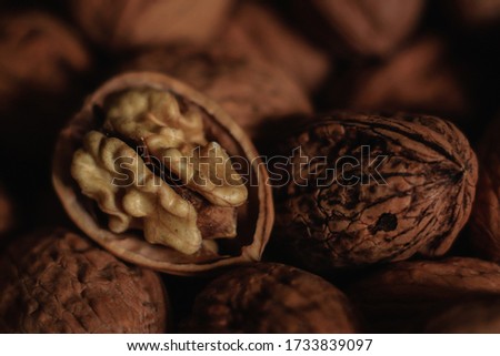 pictures of nuts with a macri lens

 Royalty-Free Stock Photo #1733839097