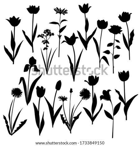 Set of silhouette flowers rose, chamomile, daisy, campanula, iris, Tulip, dandelion, spring-summer forest and garden field flower, black color isolated on a white background  