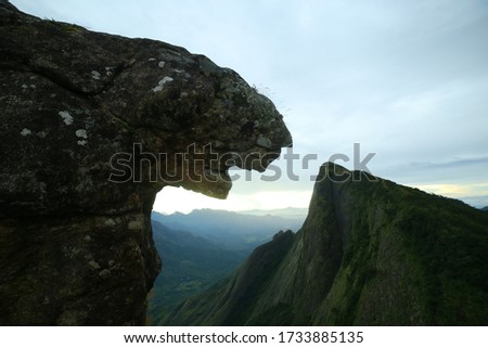 The Tiger Shaped Rock of Kolukkumalai in Munnar,Kerala.The rock seen in this picture is quite famous for its unique shape of tiger.