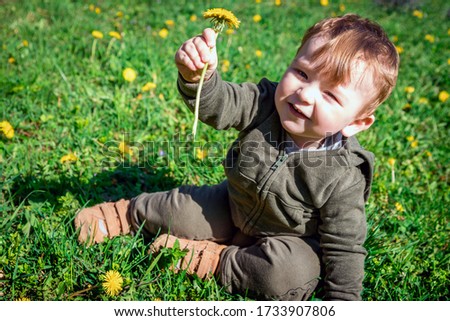 A picture of a child sitting on a lawn with dandelions on a clear spring or summer day. The concept of a happy childhood. The emotions of a child.