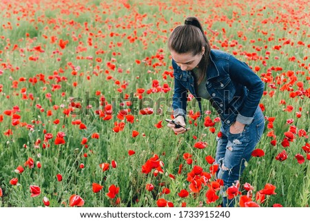 The girl takes pictures of poppies on the phone. Beautiful flowers. Photo on a banner. place for text.