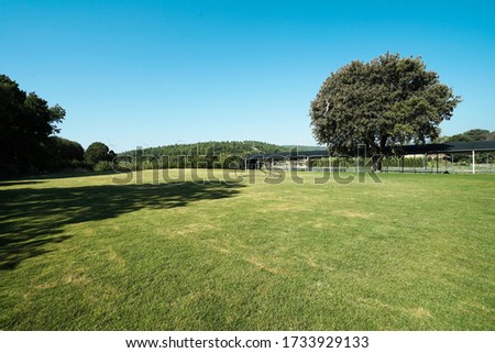 sitting and breathing area on the grass in nature view                