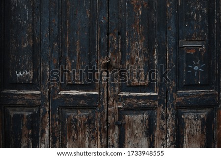 vintage wooden Italian door in Venice