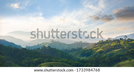 coffee area landscape in colombia  Royalty-Free Stock Photo #1733984768