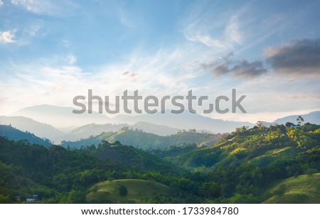 coffee area landscape in colombia  Royalty-Free Stock Photo #1733984780