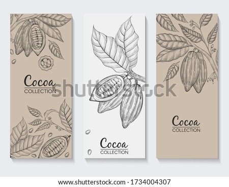 Vector collection of banners made of cocoa. Hand drawn illustration with cocoa brunches, beans and leafs.  Royalty-Free Stock Photo #1734004307
