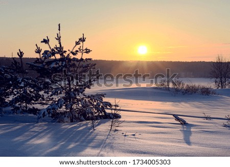 Sunrise over the snow plain. Snow plain, drifts, forest on the horizon, bright dawn, sun rays, Golden sky. Winter nature, without people. Russia, Siberia, Novosibirsk region, 2020