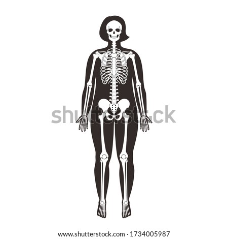 Fat woman skeleton anatomy in front view. Vector isolated flat illustration of human skull and bones in female body. Halloween, medical, educational or science banner