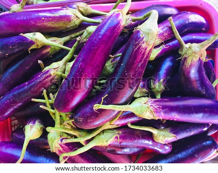 Purple eggplant for sold in traditional market