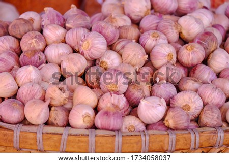 Fresh garlic on a local market in Dalat city. Garlic are grown in a greenhouse on an organic farm. Royalty high-quality free stock image of vegetables. White garlic pile texture.