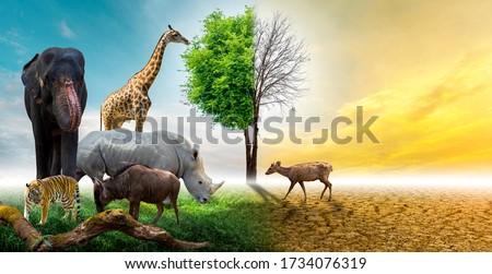 Wildlife Conservation Day Wild animals to the home. Or wildlife protection Royalty-Free Stock Photo #1734076319