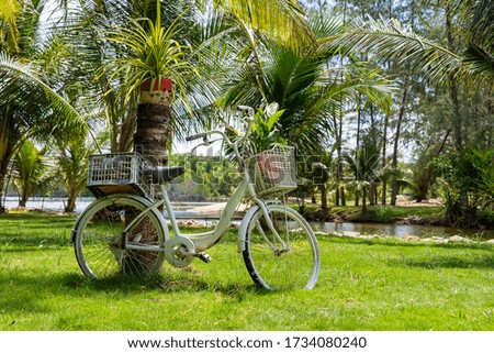 White vintage bike with basket of decorative plants in garden next to tropical beach on the island of Phu Quoc, Vietnam. Travel and nature concept