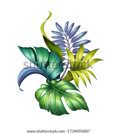 digital botanical illustration, wild jungle foliage arrangement, tropical palm leaves, colorful bouquet, floral design isolated on white background