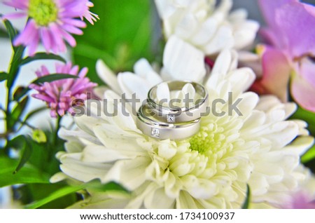 Groom and bride's wedding rings