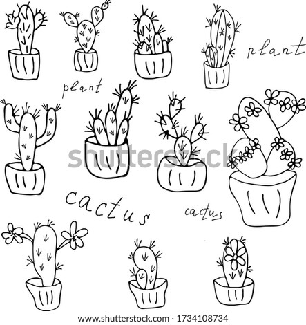 A set of indoor plants - doodle cactus - for creativity. Vector hand draw  Illustration EPS10