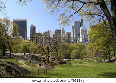A particular view of Central Park - New York City